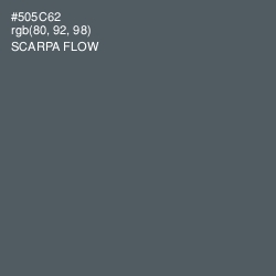#505C62 - Scarpa Flow Color Image